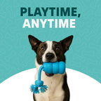 The Chase Buddy Dog Boredom Stimulating Toy