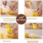 Lemon Squeezer