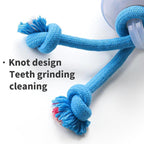 The Chase Buddy Dog Boredom Stimulating Toy