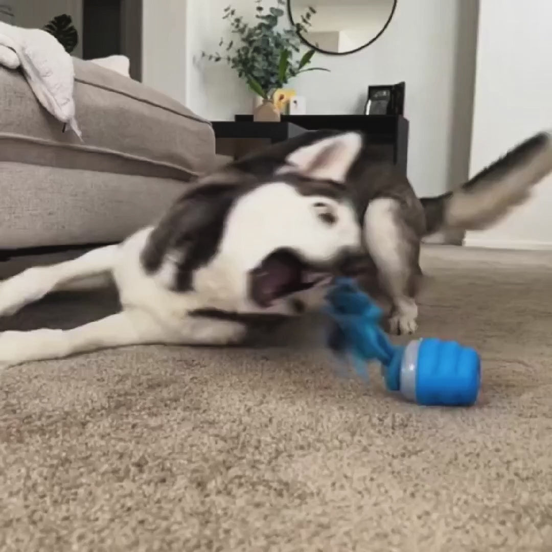 The Chase Buddy Dog Boredom Stimulating Toy